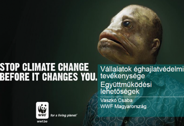 WWF - Vállalatok éghajlatvédelmi tevékenysége
