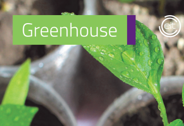 Greenhouse pre-inkubációs program